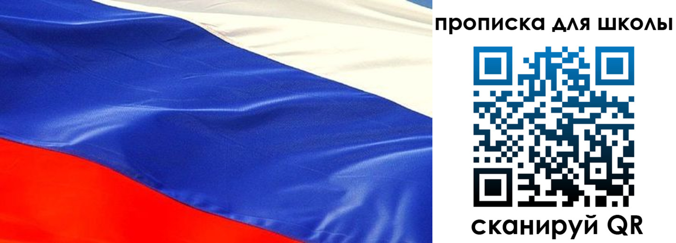 прописка гарантия в Стародубе